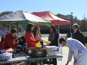 Olympiad makes science ‘sensational’