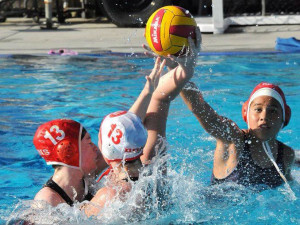 Girl's water polo fights for a chance at CIF